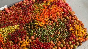 多彩缤纷的各类干果集合