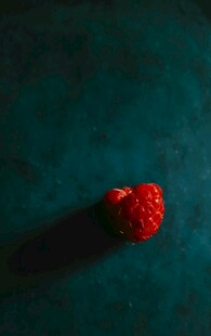 一颗鲜红树莓的特写