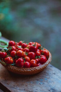 竹篮中的鲜美小番茄