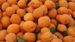 饱满鲜橙堆成诱人景象