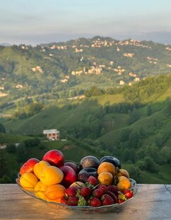 山景前的缤纷水果拼盘