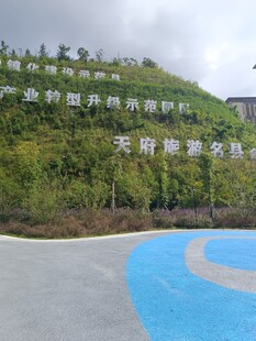 天新健康公园景观一角