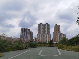 城市道路旁的高楼景观