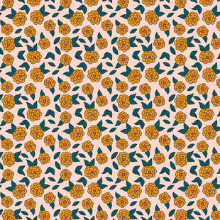 橙色水果图案无缝背景