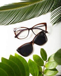 时尚眼镜与绿植搭配展示