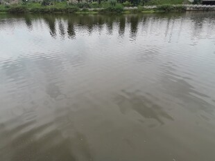 平静湖面泛起细微涟漪