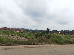 乡村田野边的开阔景象