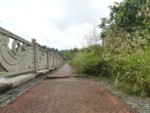 乡间石桥旁的幽静小路