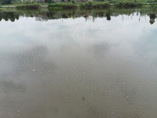 平静湖面倒映天空与草木