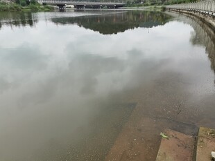 平静湖水与岸边景致