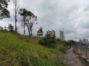 城郊草地与远处建筑景观