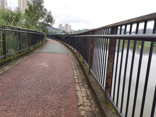 河边幽静的步道