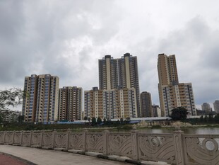 河畔高楼林立景观图