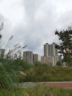 城市边的自然景观