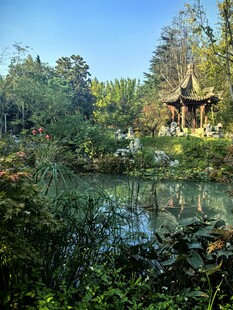 中式园林池塘边的雅致景致