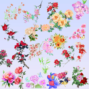 多彩花卉图案缤纷视觉盛宴