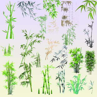 多样翠竹素材集合