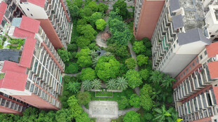 俯瞰小区绿化景观