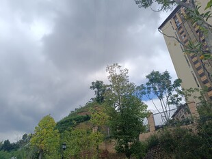 阴天中的建筑与绿树