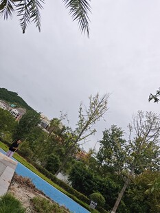 户外园林景观中的泳池