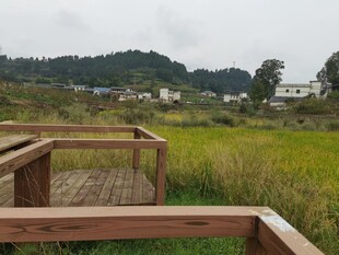 田园木栈道风景