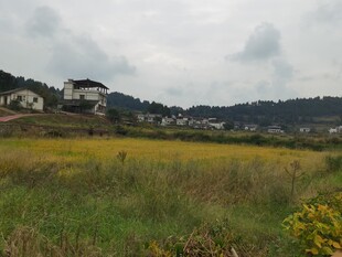 田野风光远处村落隐现