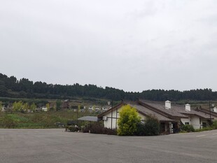 乡村开阔场地旁的房屋