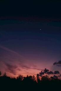 黄昏星空下的朦胧树林