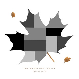 几何风格枫叶插画设计