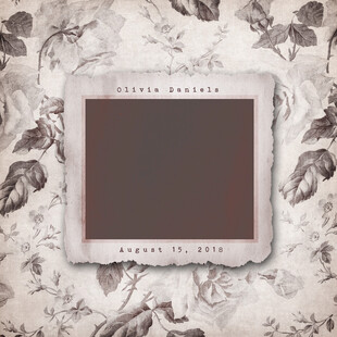 复古相框花卉背景装饰