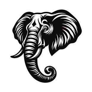 大象头骨图案设计
