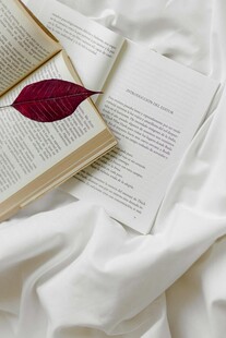 翻开的书与红叶的静谧画面