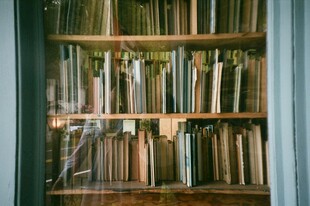 满架书籍的静谧阅读角落