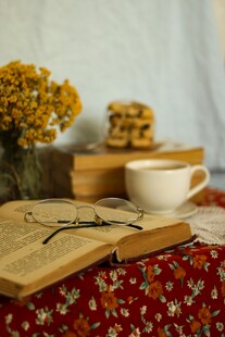 静谧午后的书香与闲适