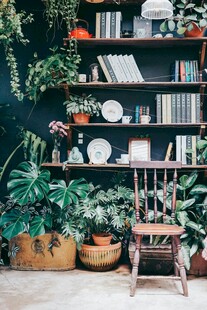 绿植环绕的温馨书架角落
