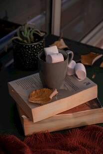 温馨咖啡与书籍休闲场景