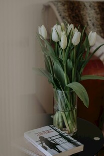 花瓶中的白色郁金香