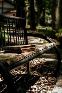 林间长椅 静谧阅读时光