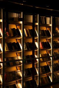 图书馆书架上的海量书籍