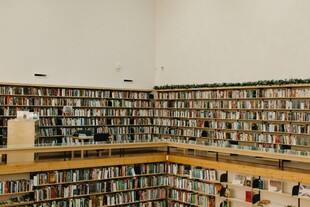 图书馆内壮观的书架景象