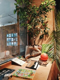 室内绿植环绕的办公场景