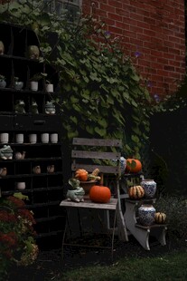 秋日庭院南瓜装饰小景