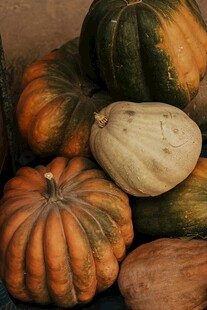 多彩南瓜堆叠展示