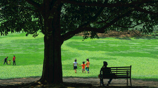 公园长椅上的悠闲时光