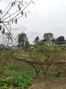 乡村田园风光静谧自然