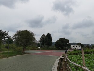 乡村道路风景