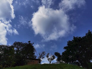 蓝天绿树间的白云美景