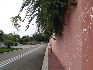 红墙边的宁静道路