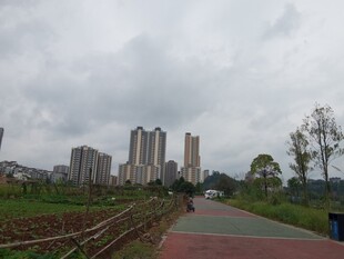 城郊步道旁的高楼与绿地