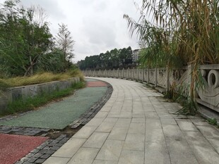 蜿蜒河畔步道风景